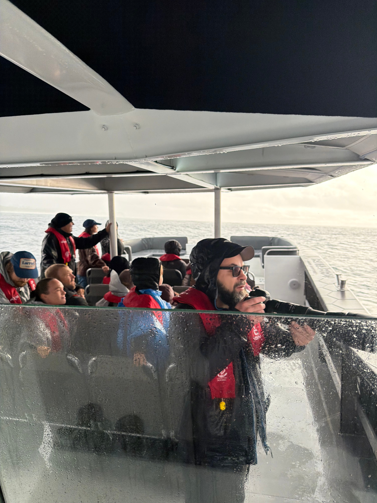 Crew photographer shooting whales from the deck