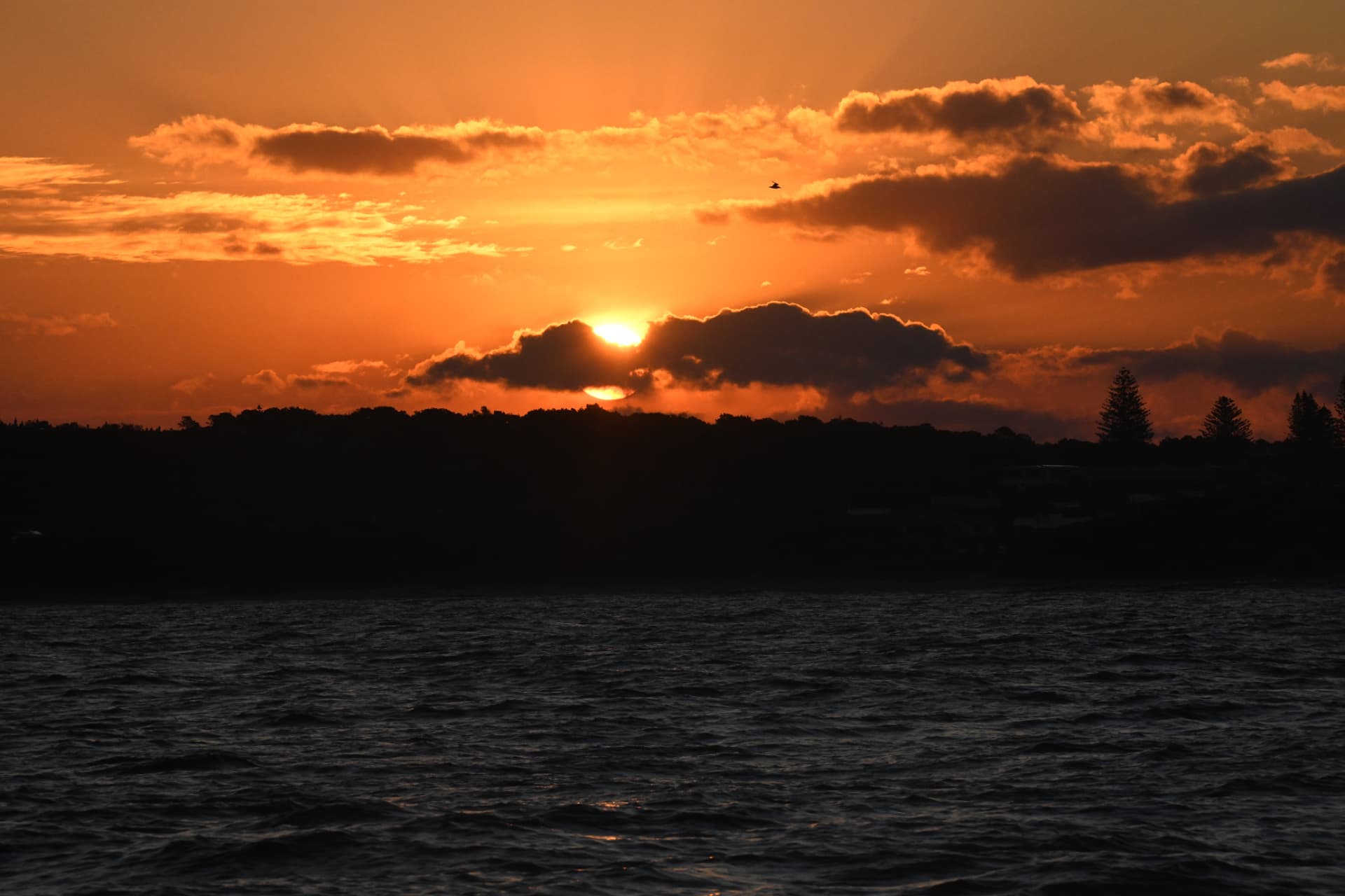 Private Charter — Richmond River Cruise