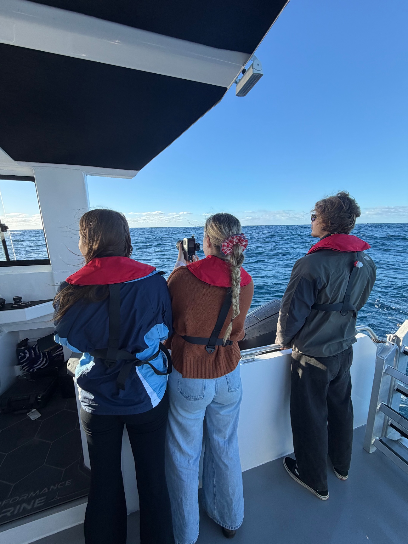 Guests at the rail scanning the horizon for whales