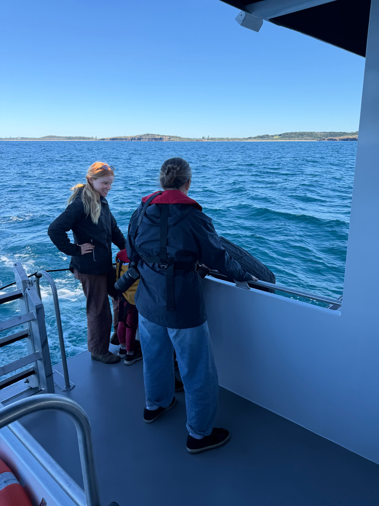 Marine Discovery — Ballina whale watching voyage
