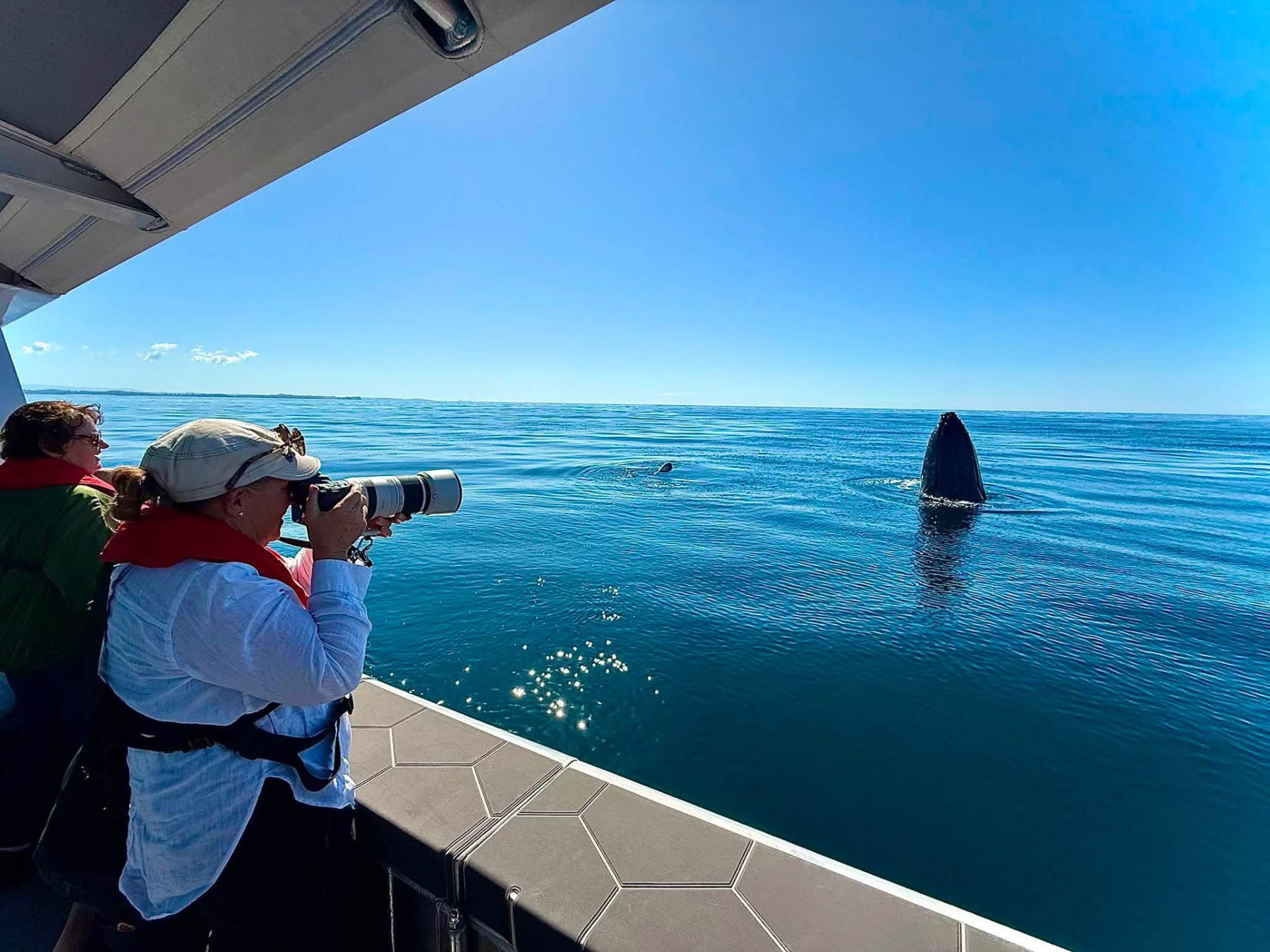 A guest photographs a humpback whale surfacing just metres from the boat on a calm blue morning
