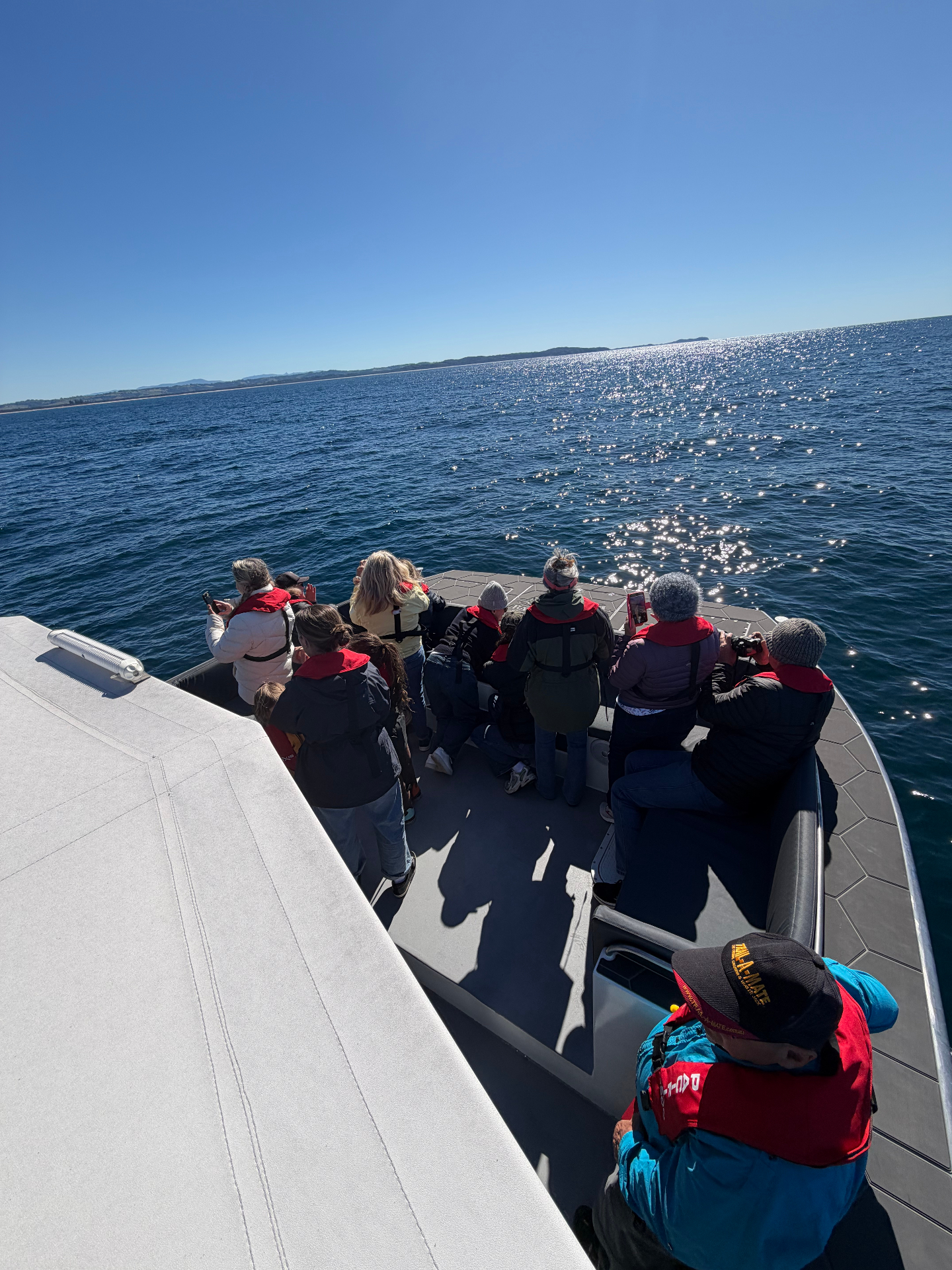 Photography — Ballina whale watching voyage
